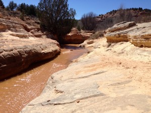 angelcanyon